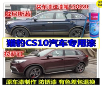 Cheetah CS10 paint repair pen White blue self-painting car paint scratch repair hand paint repair dark red