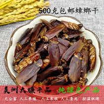 Chinese herbal medicine wild dry cockroach 500g American cockroach powder stealing oil