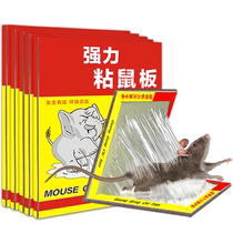 (Loss promotion) 1 set of sticky mouse board Super strong mouse paste household large rat trap and extermination artifact