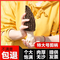 Extra-large selection of morels dried goods 100g Yunnan specialty flagship store mushroom non-wild fresh 500g
