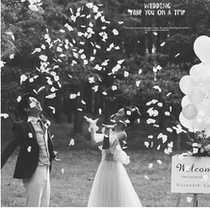 Photo studio wedding brigade props white petals Korean wedding documentary hand throw simulation rose petals Red