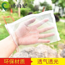 Grape bag waterproof protection fruit bird insect bag fruit net bag gardening protective cover fruit tree fruit Dew