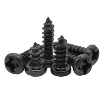 Carbon steel plated black round head self-tapping M2M2 M2M2 3M2 6M3 6M3 round head self-tapping black PA