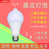 LED sensing lights radar voice control infrared human body induction stairway corridor toilet intelligent induction light bulb