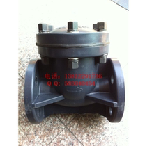 Plastic valve H44X-10S swing check valve RPP plastic check valve DN25-DN100