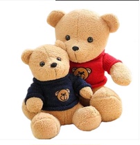 Sweater Bear Doll Couple Cubs Hug Teddy Bear Ragdoll Plush Toy Wedding Gift Gift