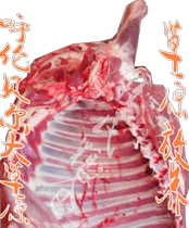 Hulunbuir Hailar Grassland natural free-range raw lamb lamb chops with foreleg raw meat from five pounds to ten pounds