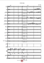 Sky City Orchestral Score can provide score Finale score