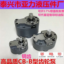 CB-B10 B4 B6F B2 5 B16 B20 B25 B32 B50 B63 B100 B125 steel gear pump