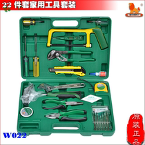 Power Lion Brand 22 Pieces Home Use Tools Group Kit 22 Pieces Home Tools Suit W022