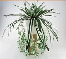 Orchid potted wall hanging flower Vine simulation flower silk flower fake flower flower hanging orchid flower wall decorative flower