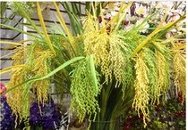 Simulation Rice ear simulation Rice Rice Rice High branch stage props decoration simulation flower simulation plant agricultural products