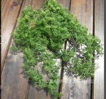 Simulation Carex plant green simulation flower simulation plant flower arrangement accessories accessories fake flower Fern grass