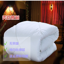 Winter thickened beauty bed quilt core edging No different taste washable foot bath beauty massage bed quilt 120*180