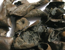 Chinese herbal medicine Qinglong Yi 500g walnut clothing walnut walnut green skin