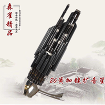  Sheng musical instrument factory direct sales live bucket professional 26 spring plus key professional sound reinforcement Sheng Miao paint Sheng tube electroplating color