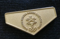 2002 Salt Lake City Winter Games Badge LOGO badge