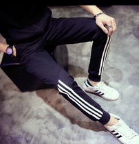 New Korean mens casual pants in autumn mens straight sports pants striped small foot casual trousers