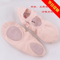 Chen Ting dance soft bottom practice shoes Childrens adult training exercise elastic mouth cat claw shoes ballet yoga dance shoes