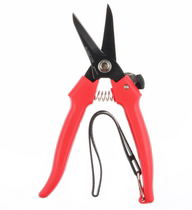  RPS-717 Japan Robin Hood imported multi-purpose scissors branch scissors fruit tree scissors gardening scissors flower branch scissors
