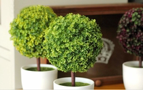 Simulation bonsai potted set combination simulation flower decorations living room coffee table desktop shelf furnishings gifts