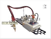 Supply Shanghai Warwick CG1-30F Square Cutting Machine