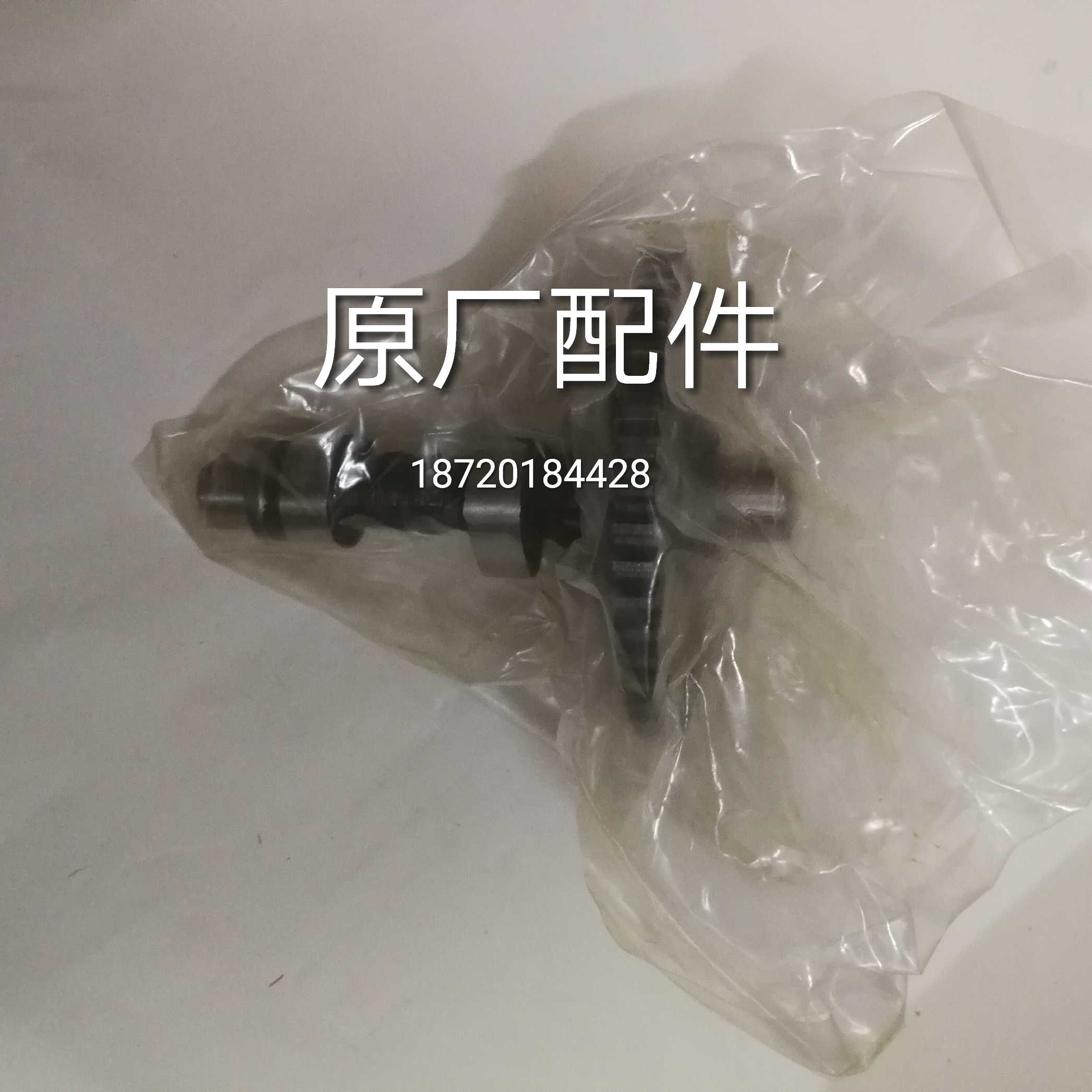 Yamaha generator engine pump original parts EF2600 MZ175 YP30G camshaft gear