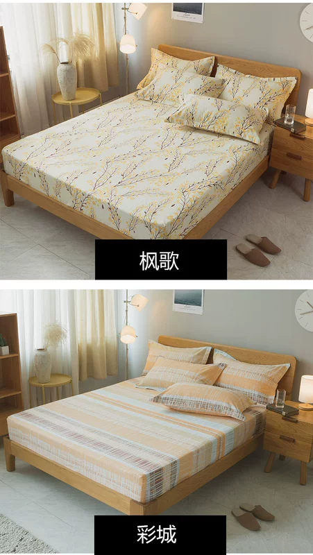 Giường chà nhám dày Tấm trải giường bằng vải bông đơn 1,2 m trải giường bảo vệ tấm trải 笠 笠 nệm cao 5 	ga chun trải giường 2mx2m2	