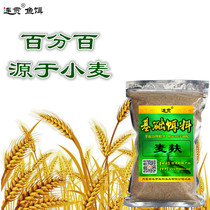 Bran wheat bran fishing basics bait state bait food feed fed bran wheat leather bait