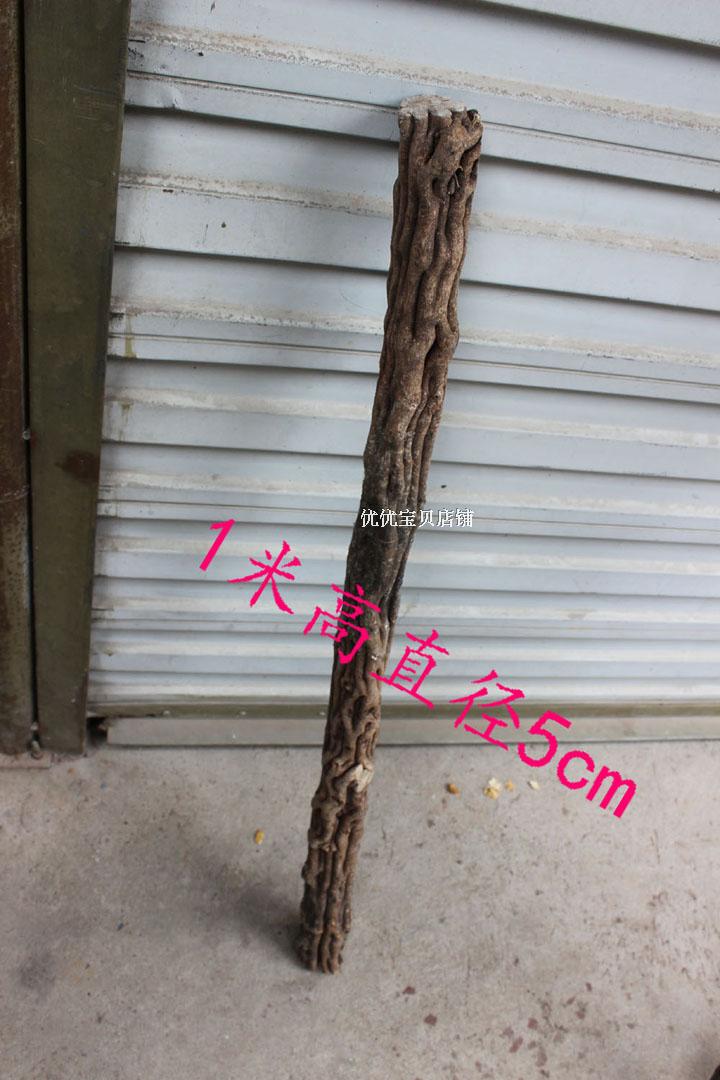 Xianciqi gỗ ông già stick bold mây tự nhiên rắn gỗ mía ngoài trời trekking ba lan gậy cũ đi bộ dính mía gậy cho người khiếm thị