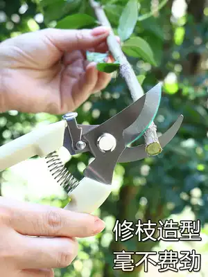 Usiju multifunctional stainless steel scissors Home gardening lawn pruning flower cutting fruit flower and wood scissors