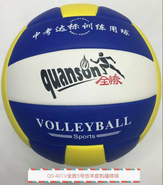 Ballon de volley - Ref 2013783 Image 3