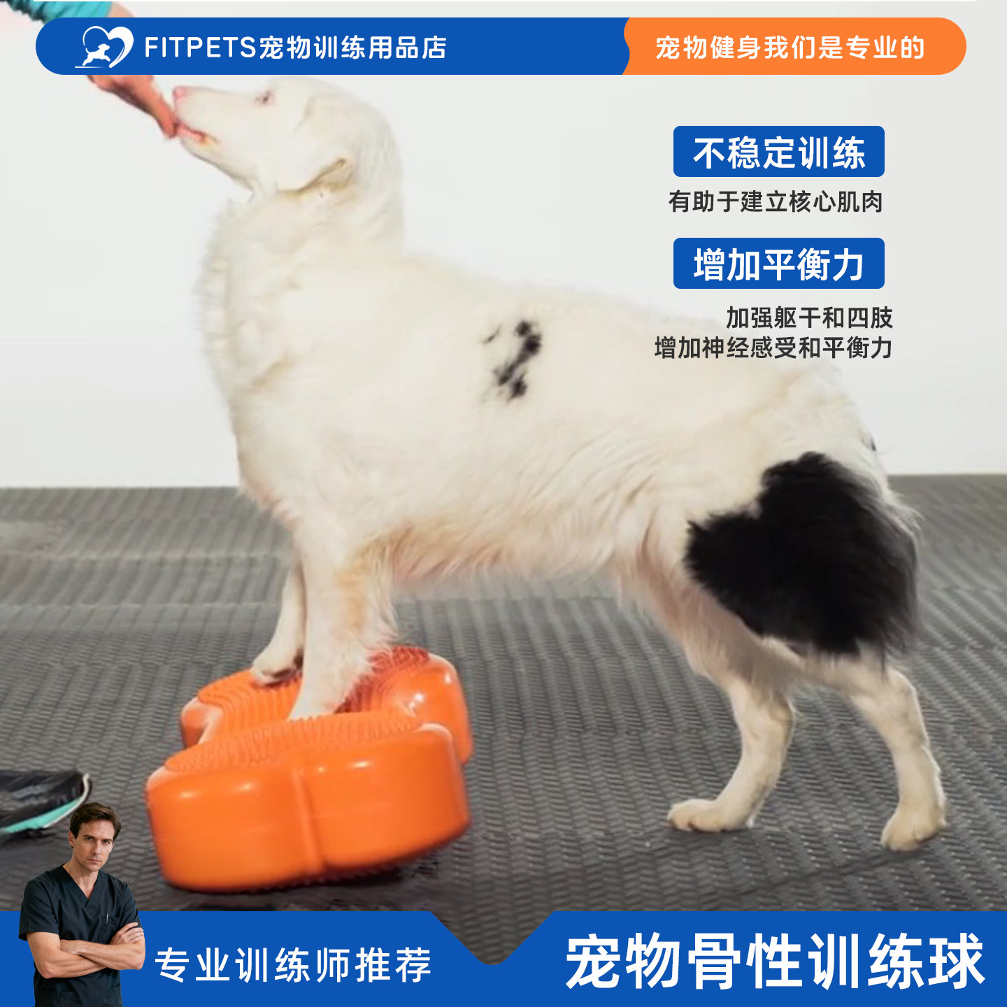 宠物健身球💪 - FitPAWS FITbone狗狗核心训练必备🌟-橡胶球-淘宝好物网