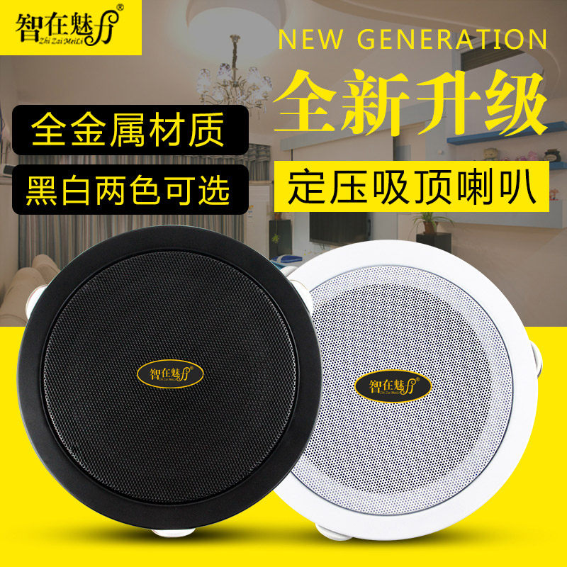 Suction Top Horn Suit Ceiling Suspended Pendant Ball Sound Constant Pressure Power Release Machine Embedded Background Music Broadcast Black