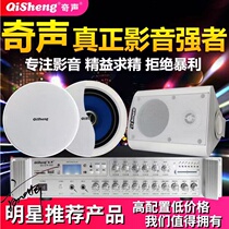 Qirang ceiling ceiling sound wall speaker commercial supermarket restaurant ceiling embedded background music broadcast