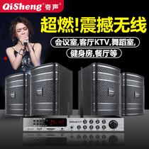 Qirong wireless home KTV audio set karaoke conference room dance gym K Song commercial wall-mounted speaker