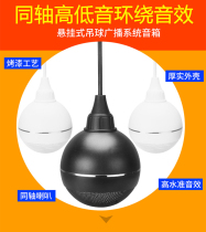 Ceiling horn ceiling horn coaxial lob horn ceiling suspension pole Sound Leisure background music set