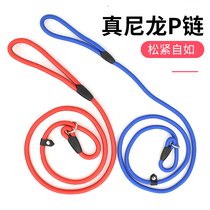 Buy 10 send 1 pet supplies P chain dog dog with integrated traction rope teddy gold hair out of the dog chain