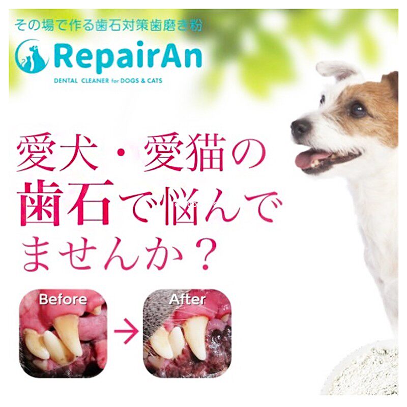 RepairAN Japan Original Imported Upright of Fitted Teeth Suit Peeling of Tooth Stones Tooth Scale To Mouth Smelly Toothpaste