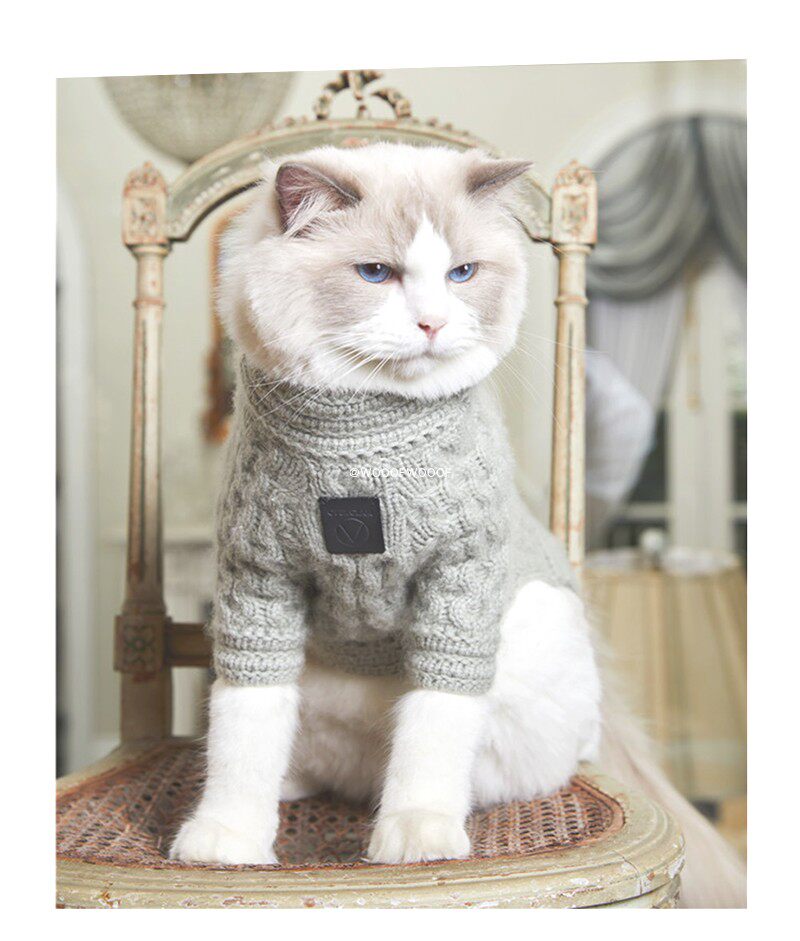 Cashmere goat sweatshirt OVERGLAM UK Pet clothes high collar sweater hooded sweatshirt Inron dog cat autumn and winter warm