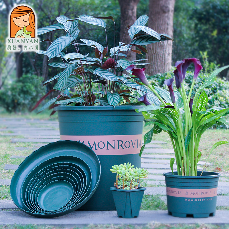 Extra-Large Deep Plastic Resin Flower Pots for Controlling Roots, Suitable for Green Plants and Pothos, Clearance Sale, Trendy Global Gallon Pots