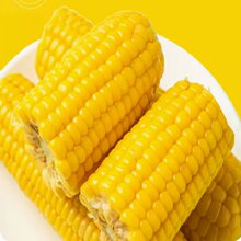【签到+首单】包小苞东北香甜黄糯玉米2根