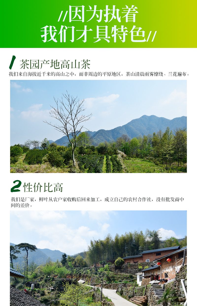 祁雅春 2020年新茶 高山云雾毛尖 500g 图3