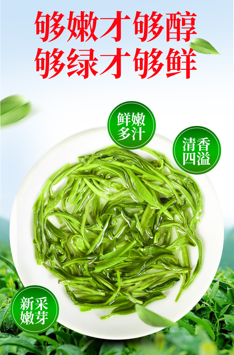 祁雅春 2020年新茶 高山云雾毛尖 500g 图2