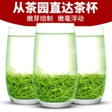 祁雅 Солнечно-зеленый зеленый чай, чай Синь Ян Мао Цзян, 2019