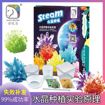 DIY Crystal Planting Test Set Parent-child exchange Chemical experimental principle 5-day forming birthday gift
