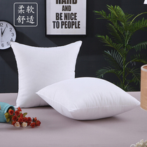 Custom holding pillow core no son white cloth wedding Gongkorn terror college poison ring