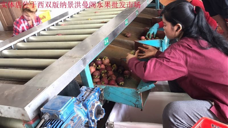 山竹泰国进口3A麻竹花竹9元1斤运费另算4A1