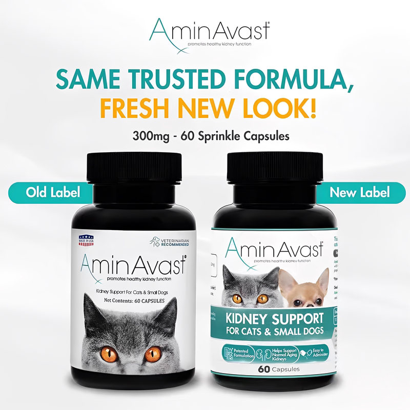 American Aminavast Amin Renal Relief Nutritional Supplement for Cats and Dogs, 60 Tablets