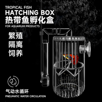 Fish tank isolation box hatching box guppy breeding box tropical fish small fish juvenile pneumatic aeration incubator for spawning